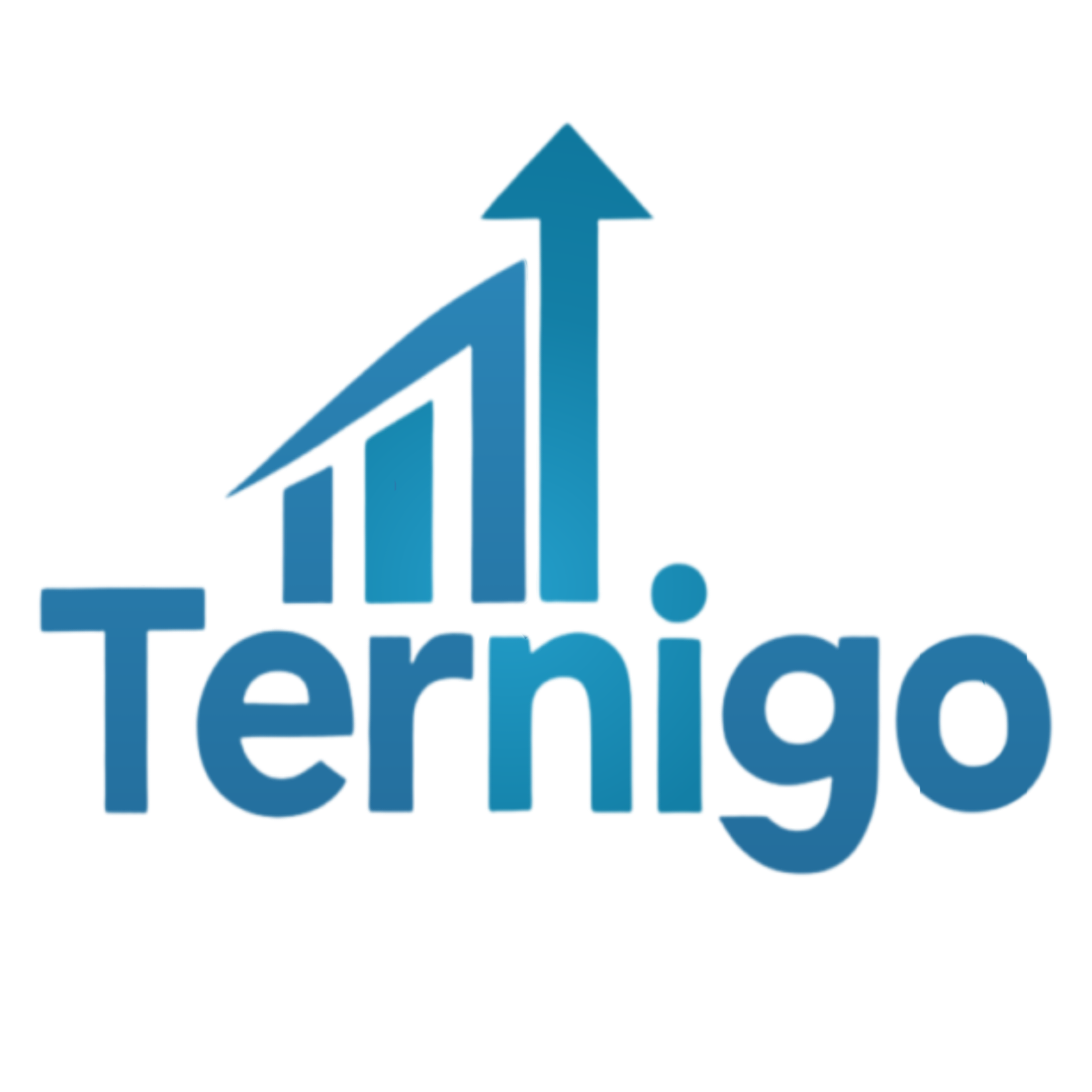 Ternigo Logo